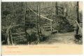 05186-Cossebaude-1904-Im Park des Verschönerungsvereins-Brück & Sohn Kunstverlag.jpg